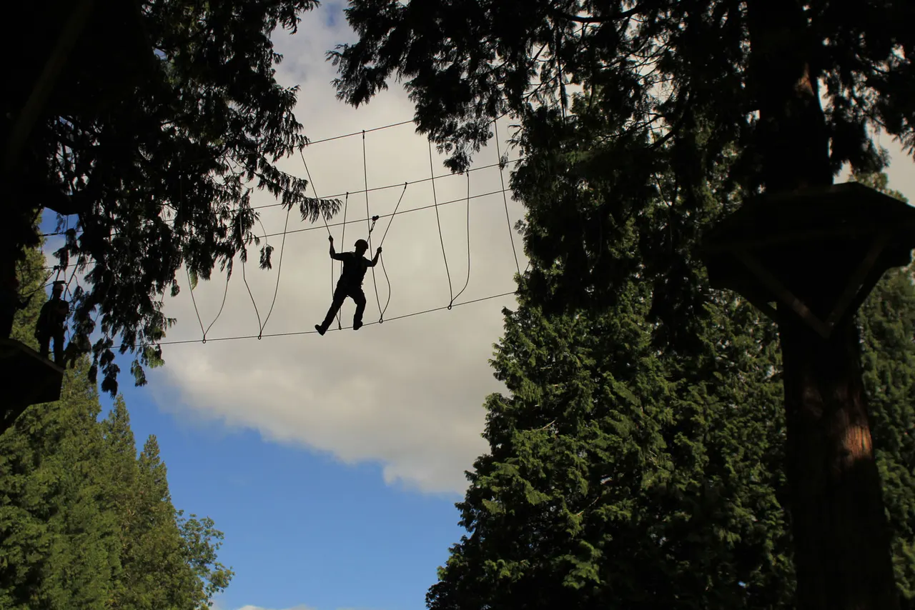 Person negotiating an aerial obstacle course suspended between trees in a forest setting.
