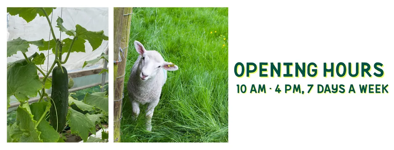 Meanwood Valley Urban Farm
