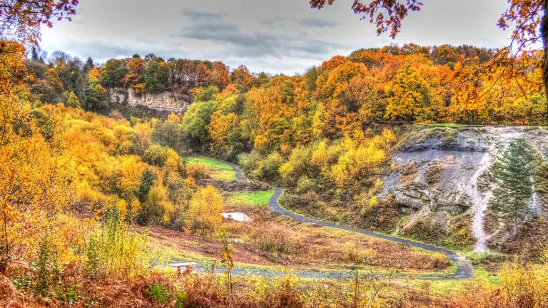Autumn woodland with a meandering stream running through a valley surrounded by golden and orange trees.
