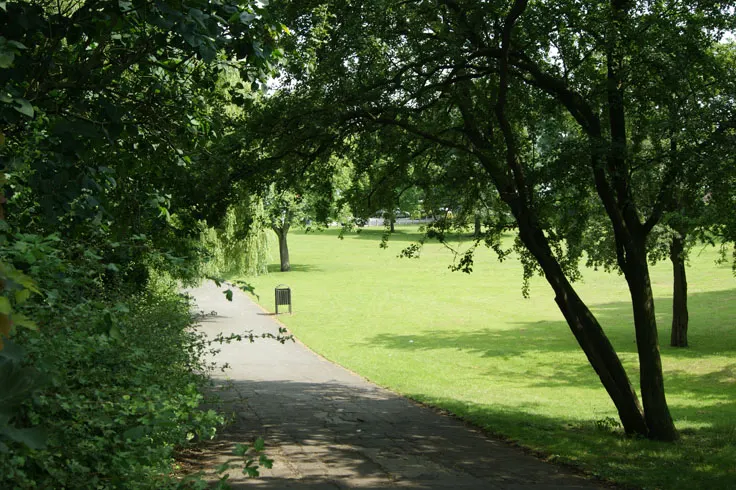 Winding path through tree-lined park with open grassy area beyond and distant visitors.