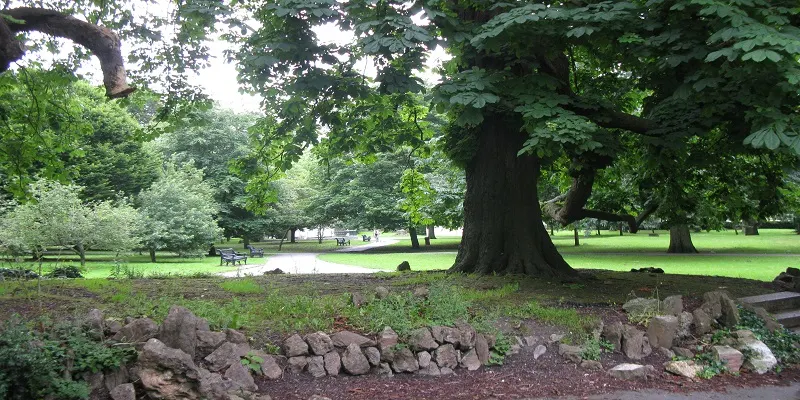 Large mature trees shade a grassy park with stone-bordered flower beds and seating areas visible in the distance.