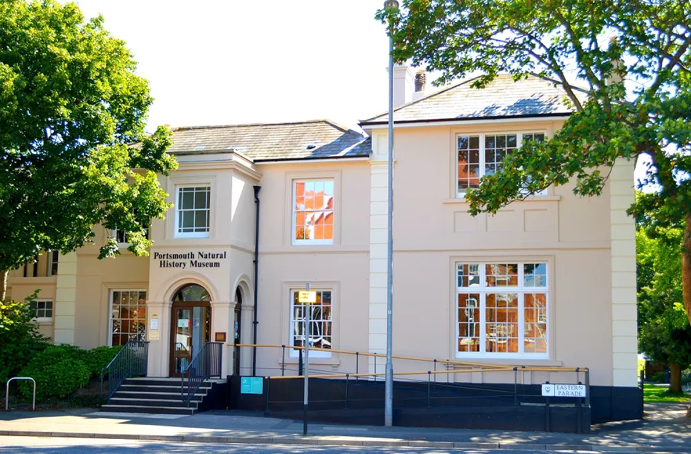 Cream-coloured historic building with "Portsmouth Natural History Museum" signage, entrance steps, and surrounding green trees on a sunny day.