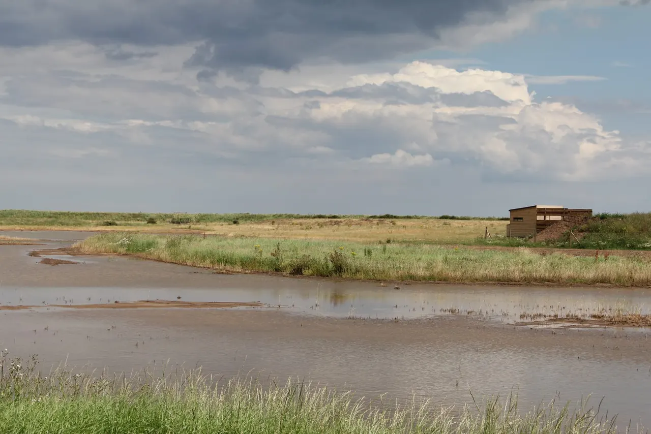 Wetland landscape with shallow water, reedy vegetation, and a wooden observation building on the distant shore under a cloudy sky.