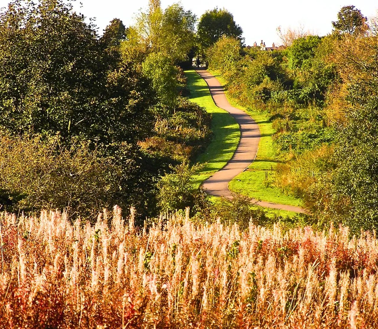 Winding brick path through tree-lined grounds with autumn foliage and dried grasses in foreground.