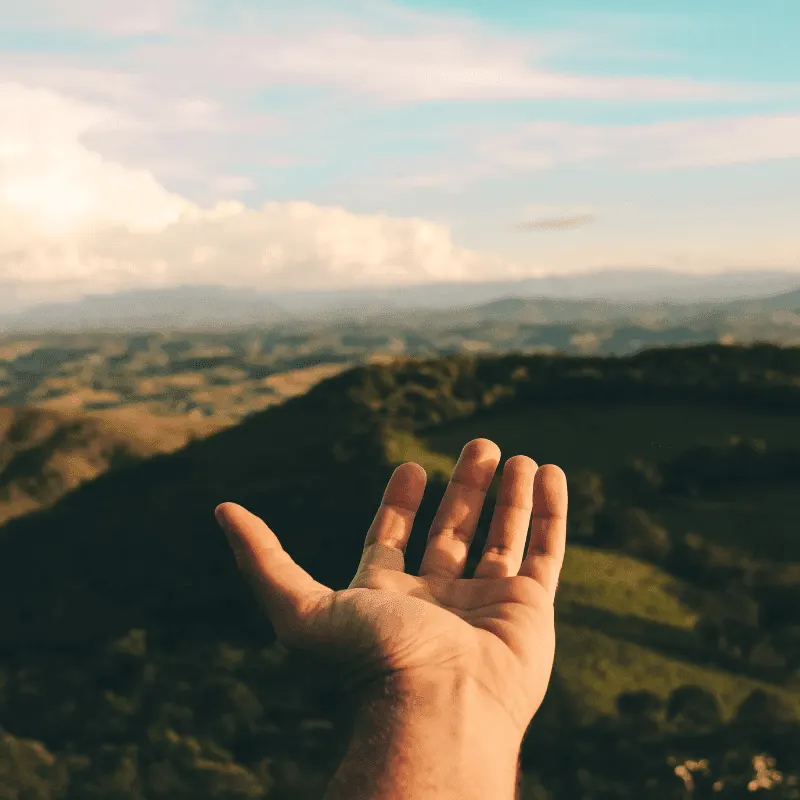 A hand reaches outward with a sprawling forested valley and distant hills visible in the background beneath a partly cloudy sky.