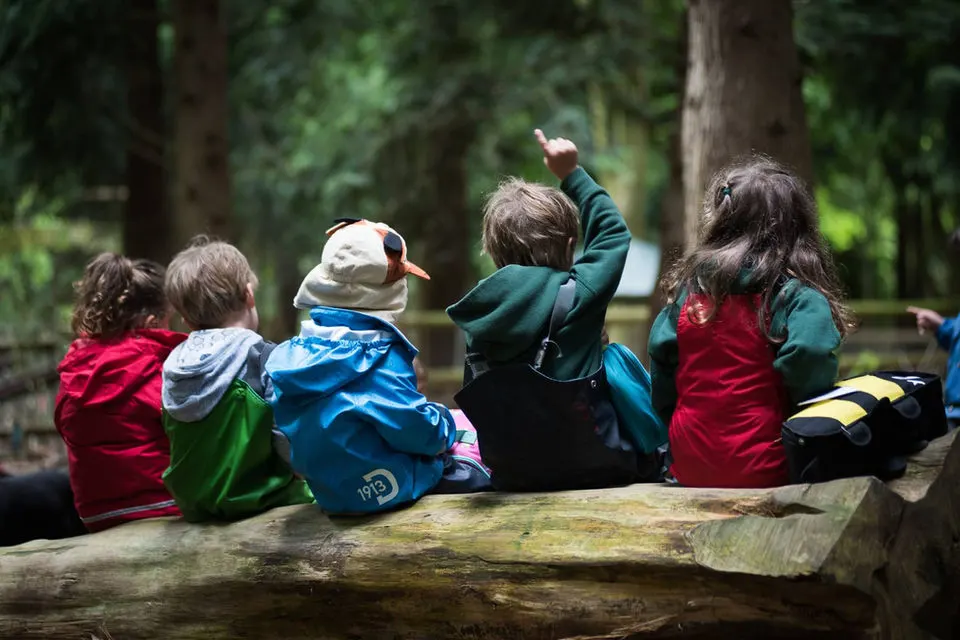 Forest School & Outdoor Learning in Southampton