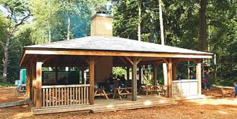Wooden pavilion with railings and picnic tables surrounded by tall trees in a forest clearing.