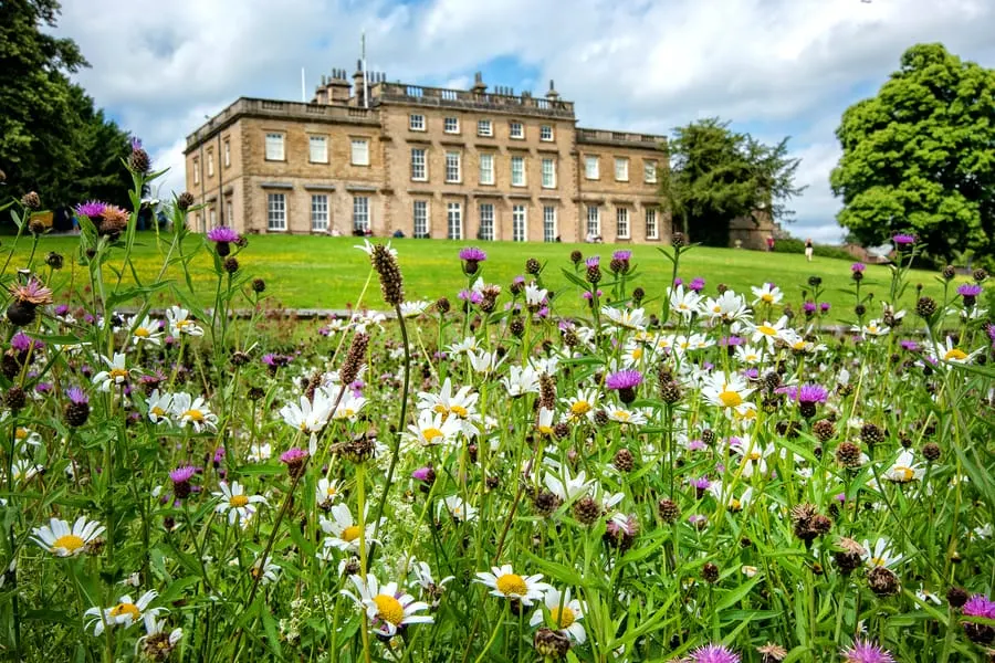 Wildflowers bloom in a meadow with a grand stone mansion and manicured grounds beyond.