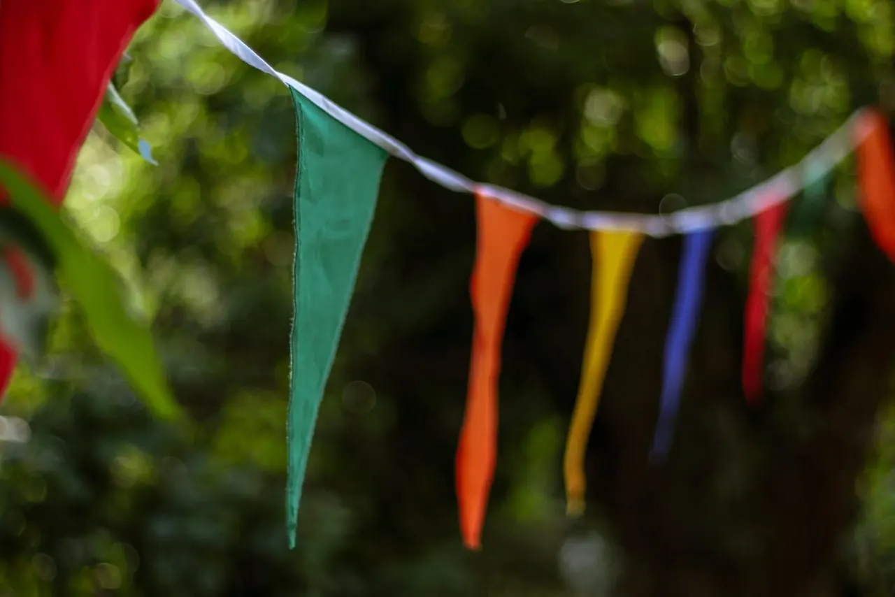 Colourful bunting strung between trees in a garden setting.