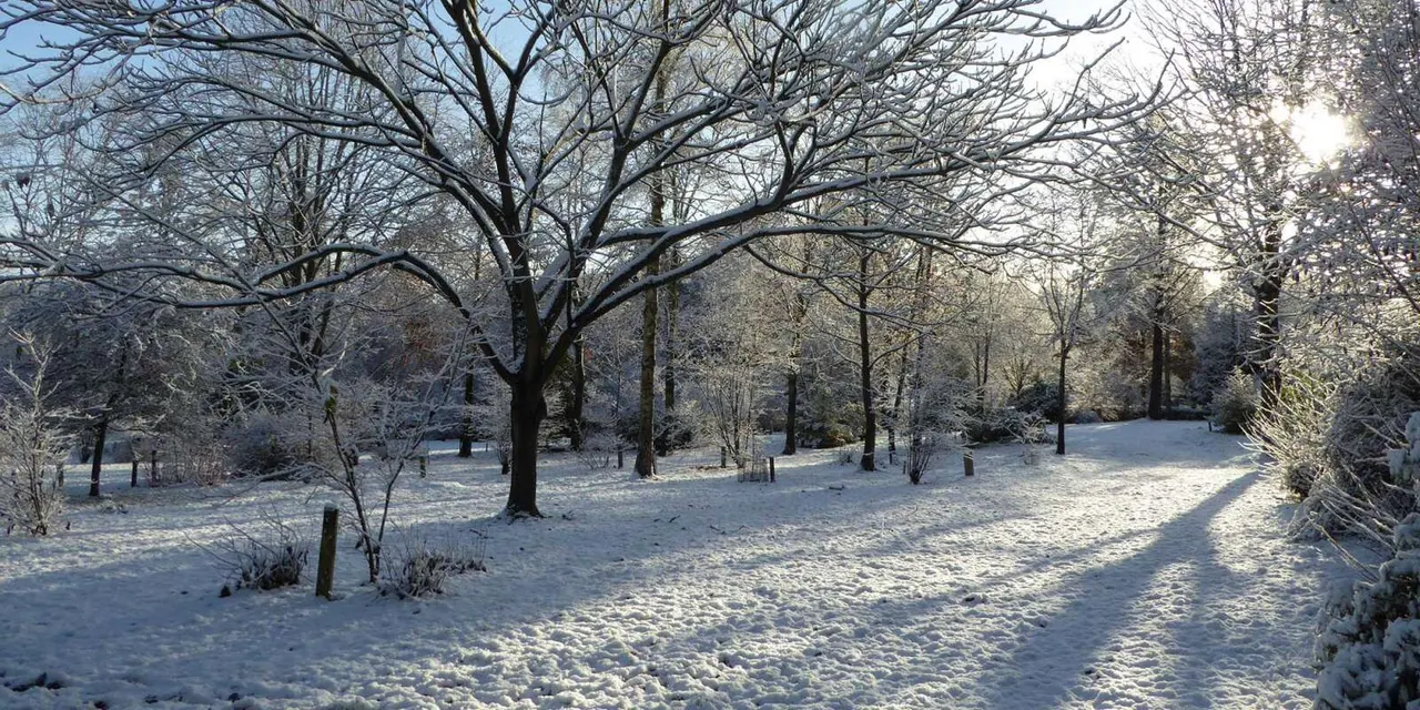 Winter landscape of snow-covered grounds with bare trees and frost-rimmed vegetation.