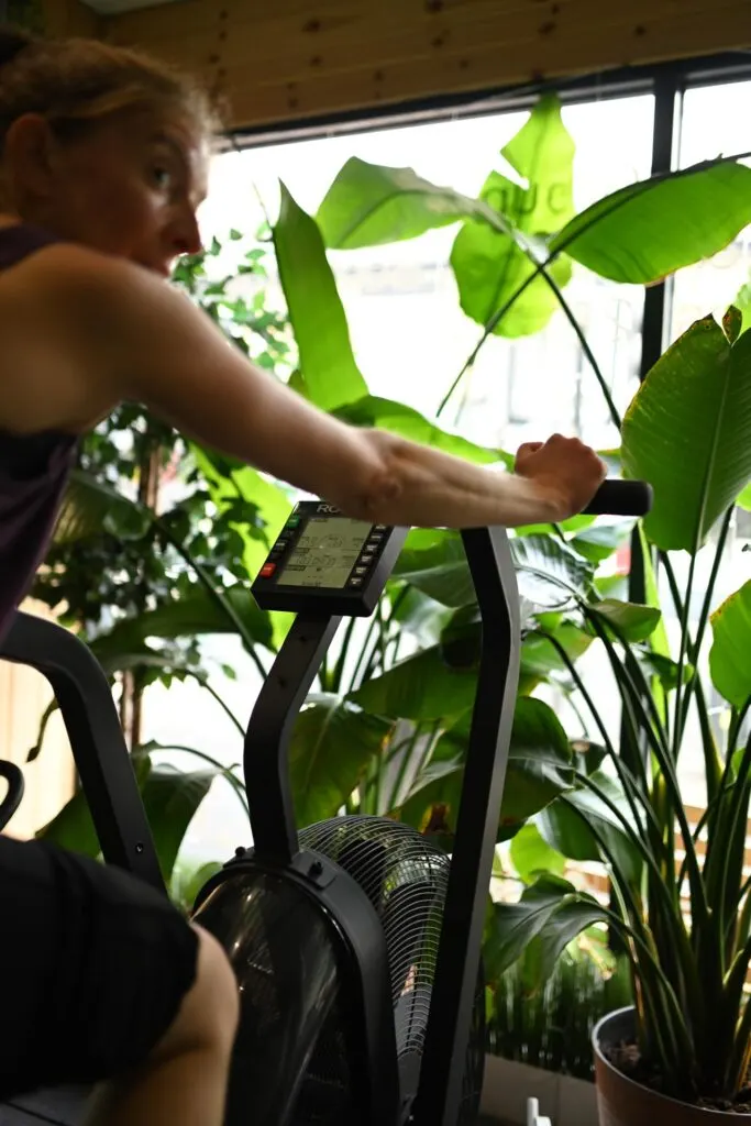Person exercising on stationary bike surrounded by lush green plants by a window.