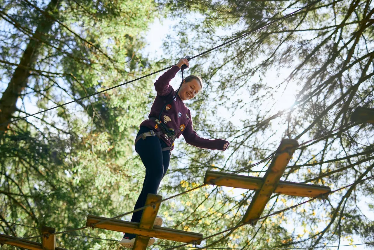 Treetop Adventure course participants on platforms
