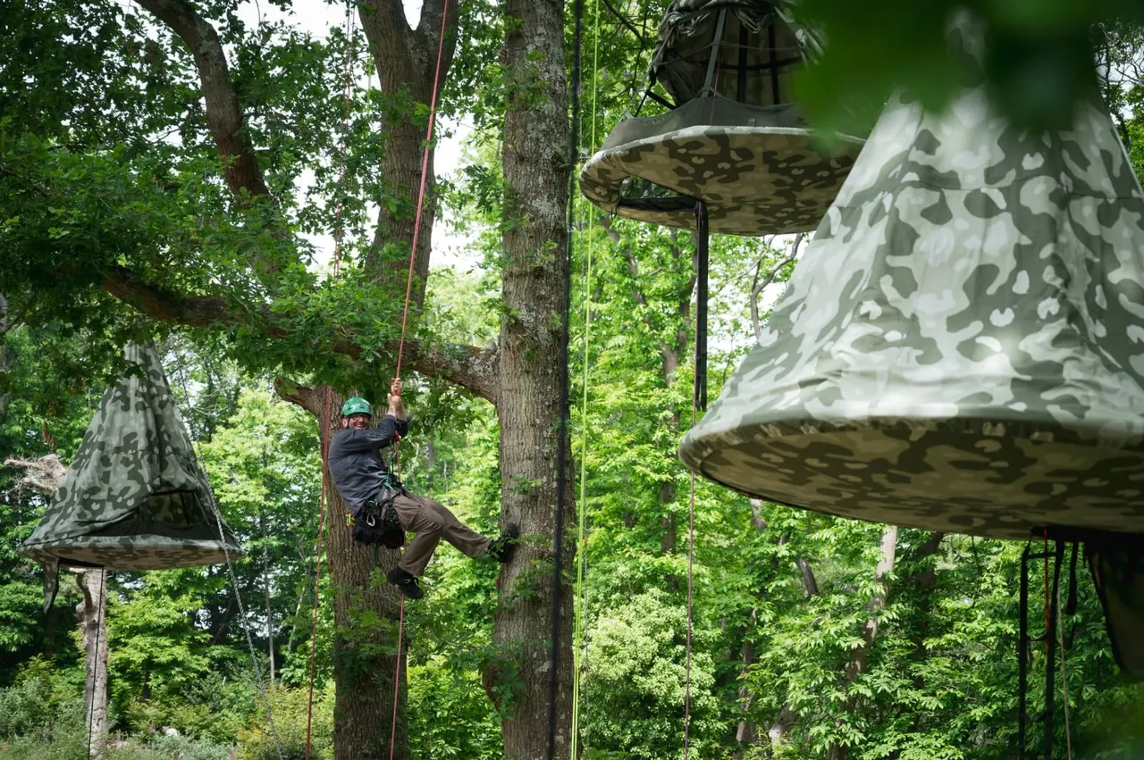 Person on rope between tall trees, reaching towards a suspended platform in a woodland canopy course.
