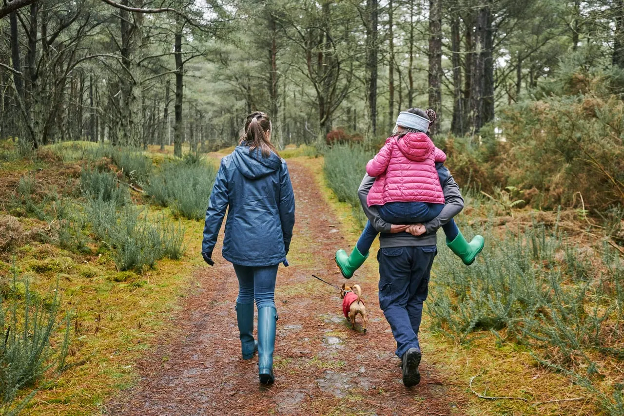 Two people and a small dog jogging along a forest path lined with trees and shrubs.