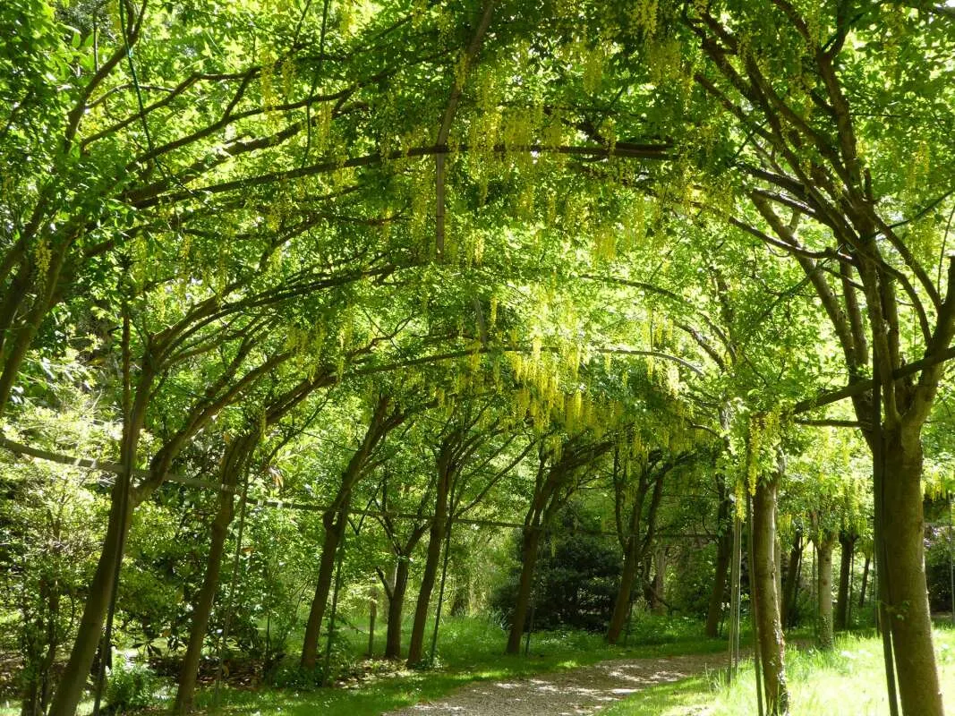 Gardens & Arboretums in Birmingham