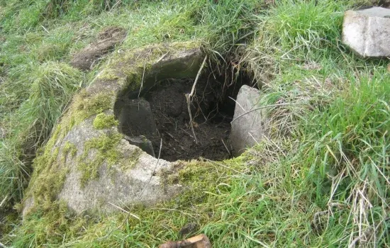Historic stone bunker entrance surrounded by overgrown grass and moss.