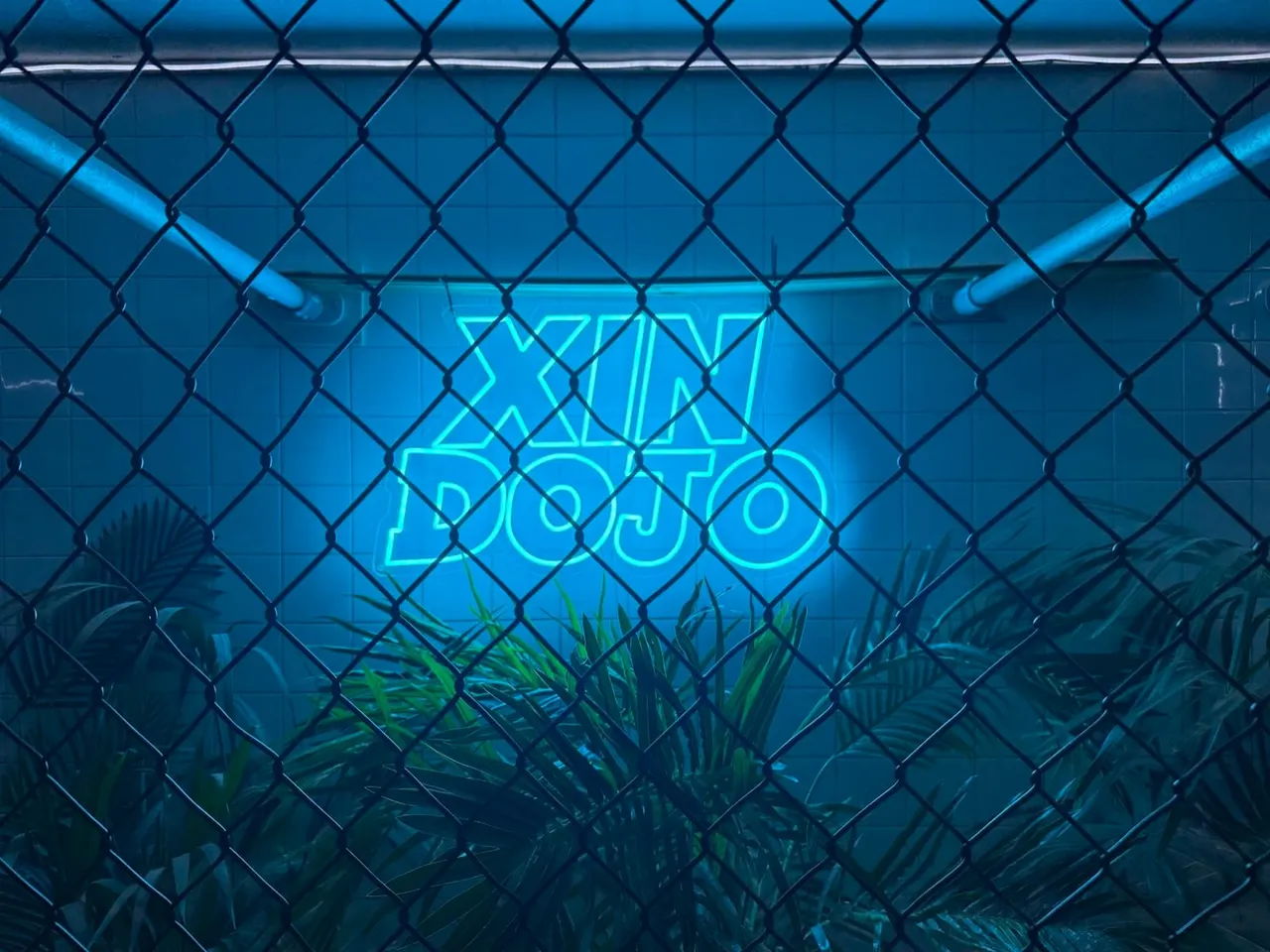 Xin Dojo