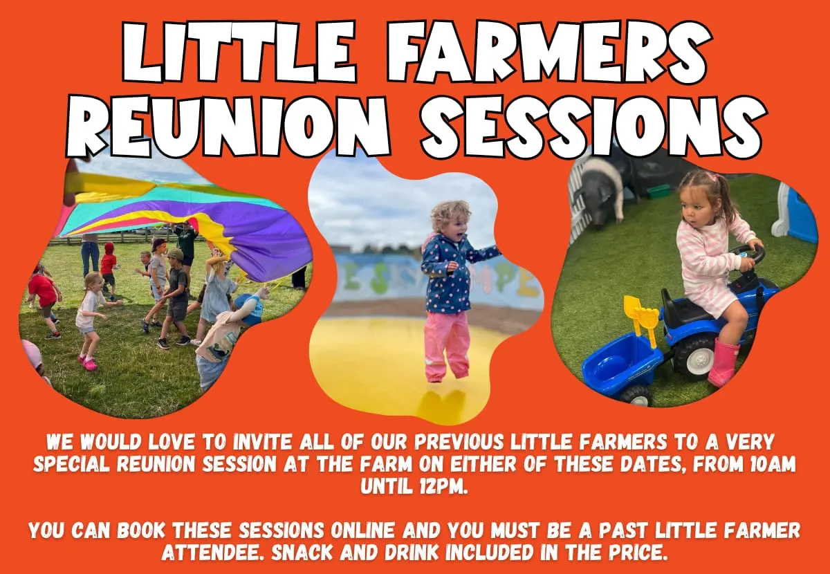 Little Farmers Reunion farm club promotional artwork