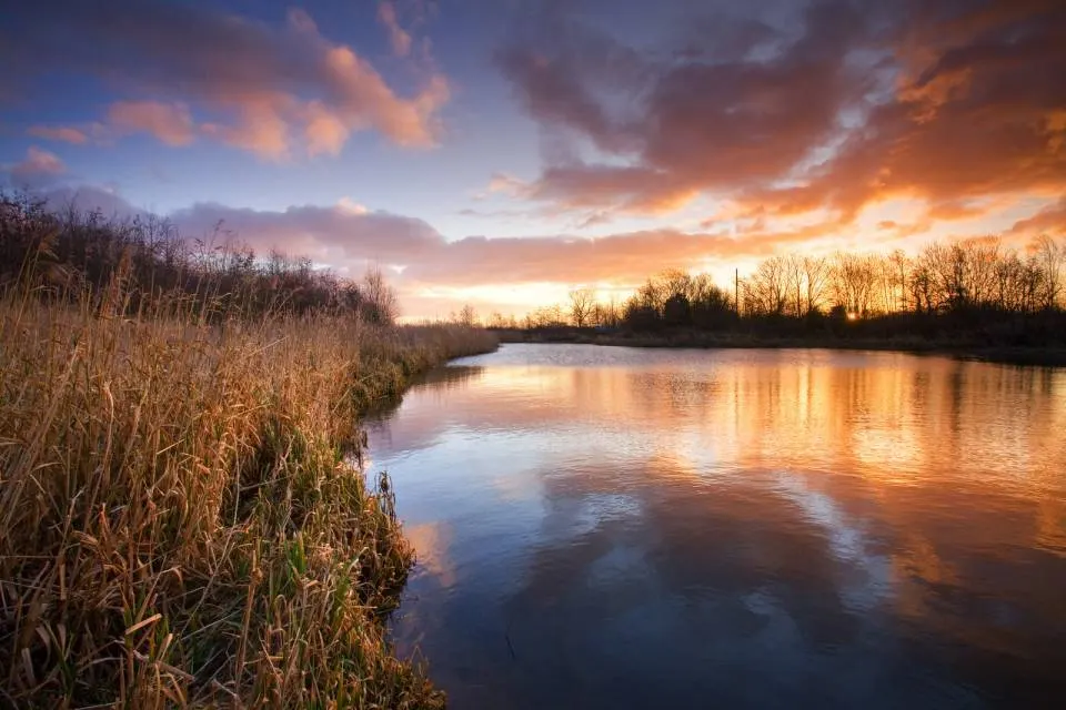 Tranquil river bordered by reeds at sunset, with bare trees and dramatic orange sky reflected in still water.