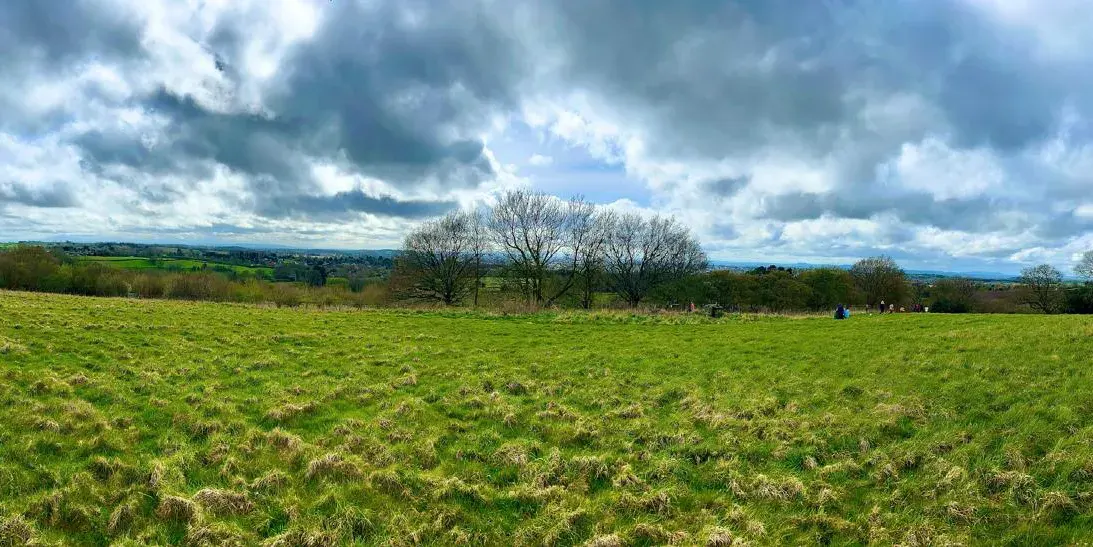 Open green field with bare trees and distant hills under cloudy sky, with a few people visible in the distance.