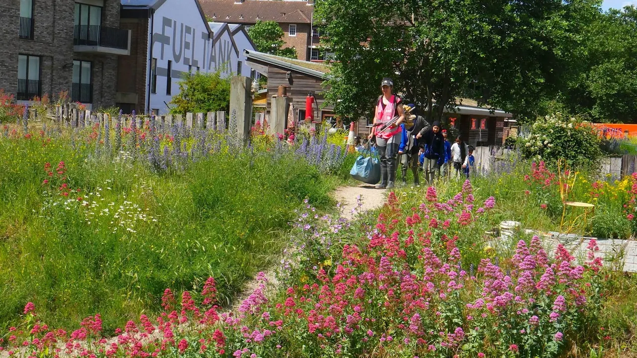 Visitors walking through a wildflower garden with pink and purple flowers towards heritage buildings on a sunny day.