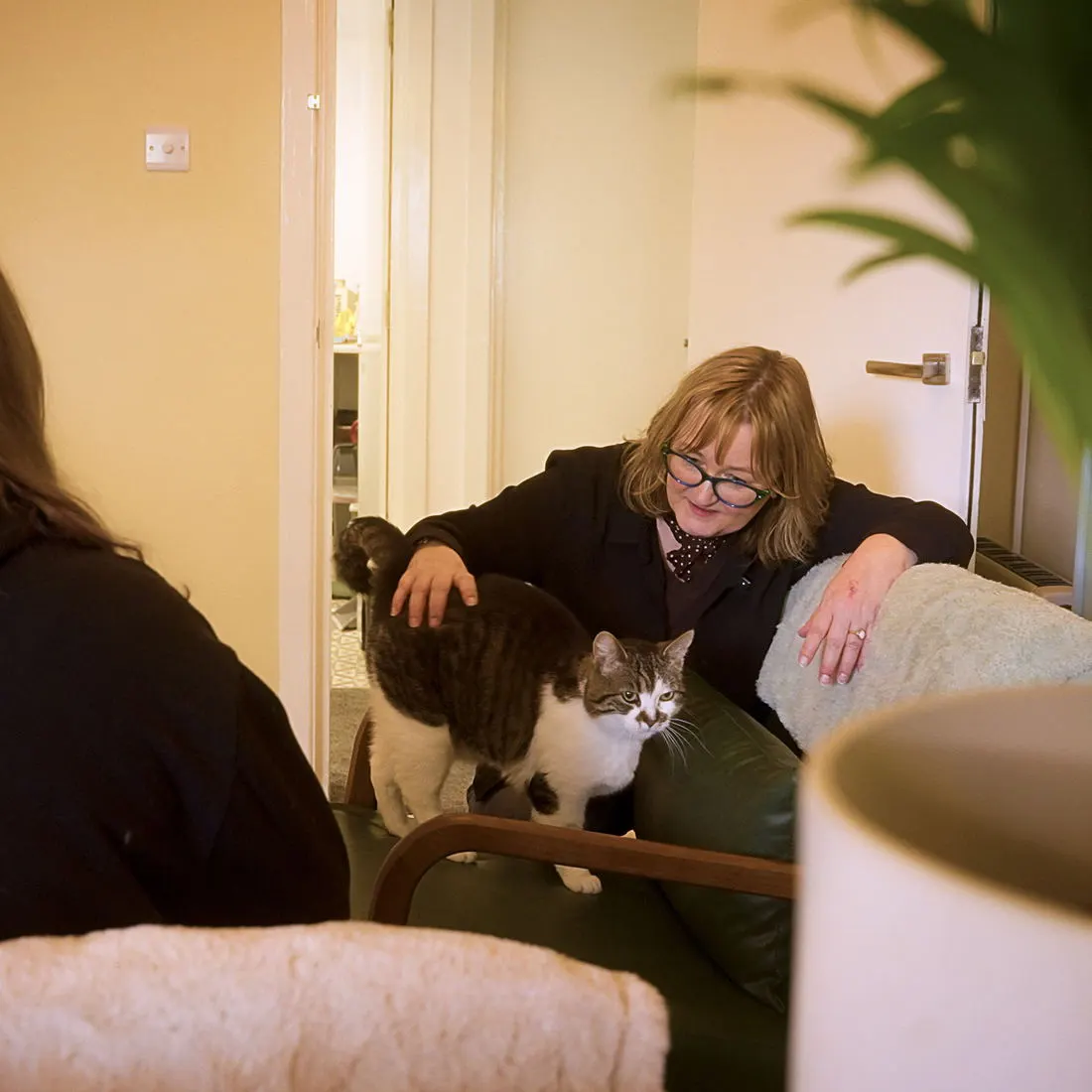 Woman petting a tabby and white cat while sitting with visitors in an indoor cat lounge.