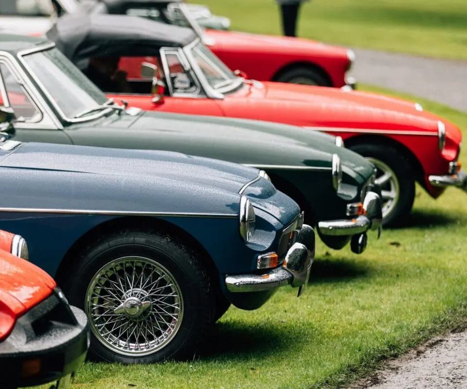 Row of classic and vintage cars parked on grass at an outdoor event.