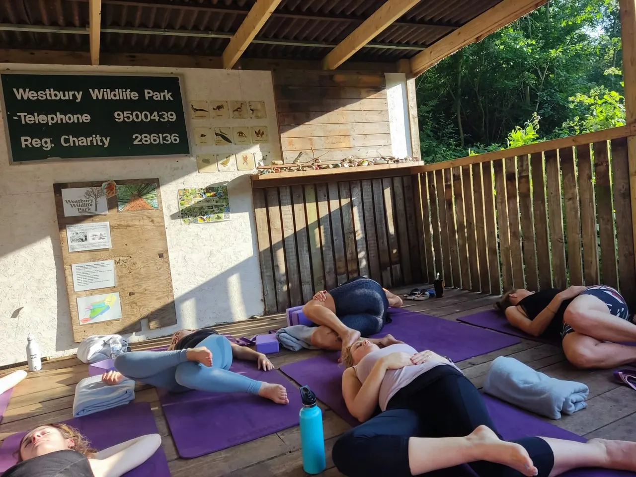 Multiple people lying on purple yoga mats during an outdoor class on a wooden deck at a wildlife park.