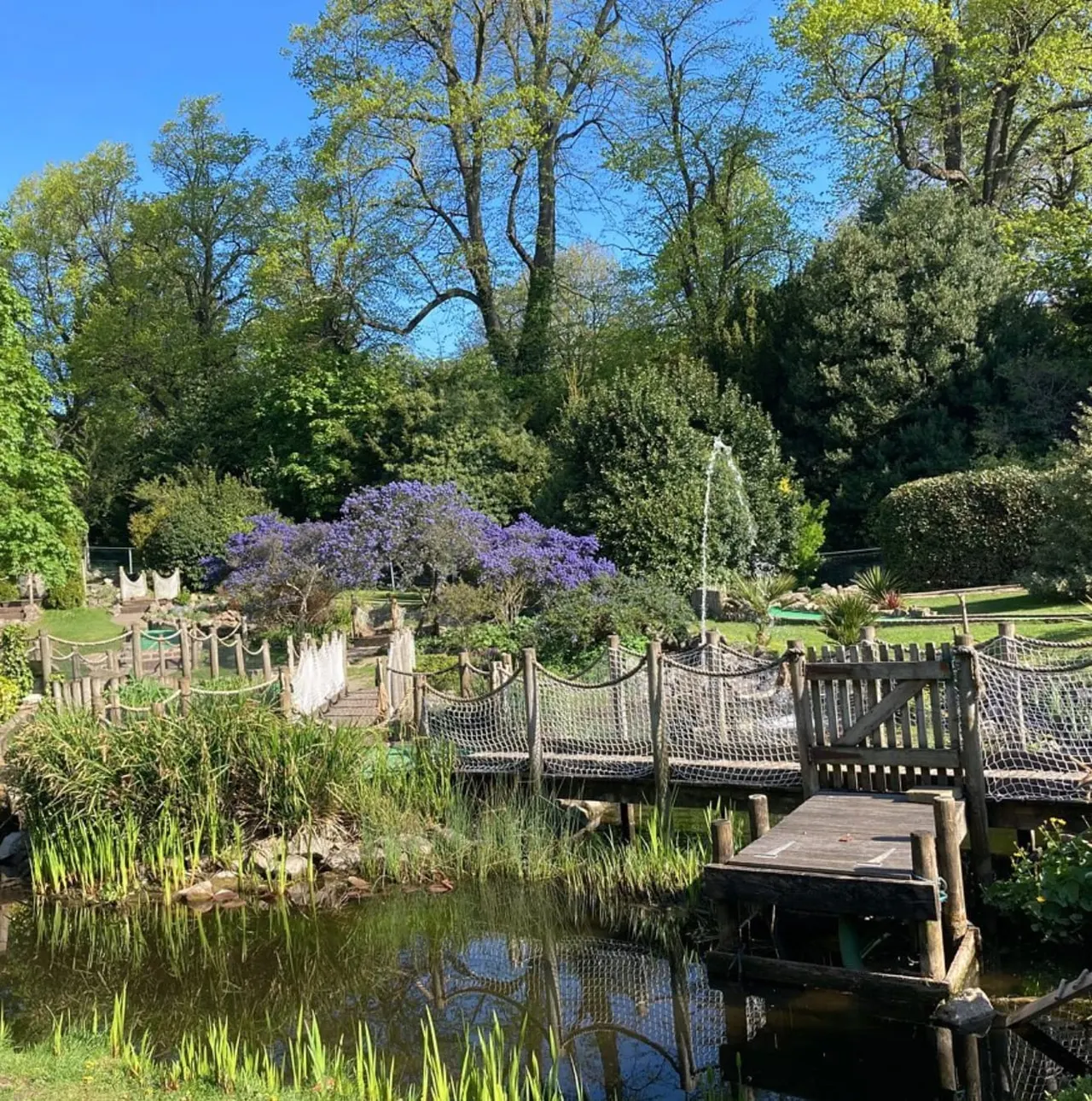 Landscaped garden with pond, wooden bridges, flowering purple shrub, and mature trees under clear blue sky.