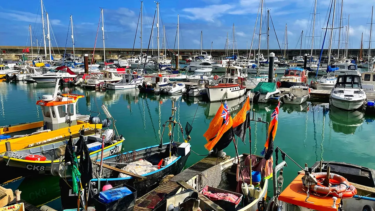 PHOTOGRAPH

Busy harbour filled with moored sailboats and fishing vessels of various sizes on calm turquoise water.