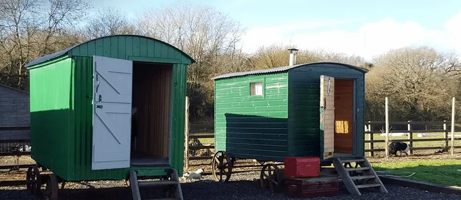 Two green mobile shepherds' huts with wooden wheels parked on a rural farm in winter, bare trees visible beyond fencing.