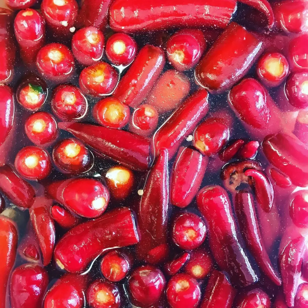 Close-up of fresh red apples and rhubarb in liquid, showing glossy produce ready for cooking or preserving.