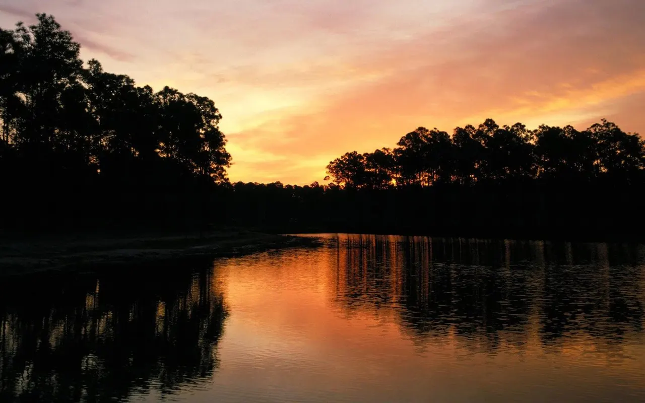 Sunset over a still river with silhouetted forested banks reflecting golden light on the water.