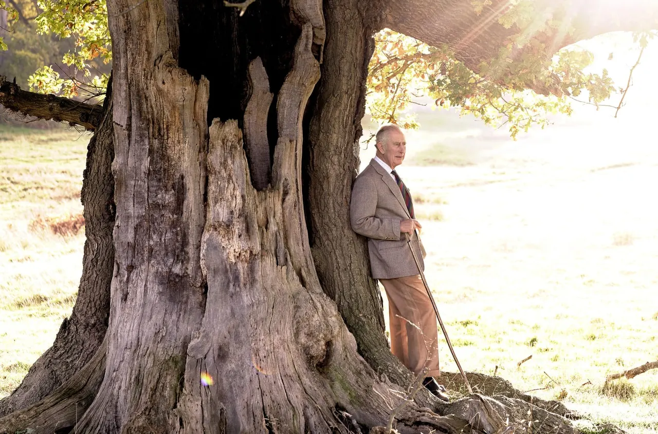 Man in blazer standing beside a massive ancient hollow tree trunk in woodland.