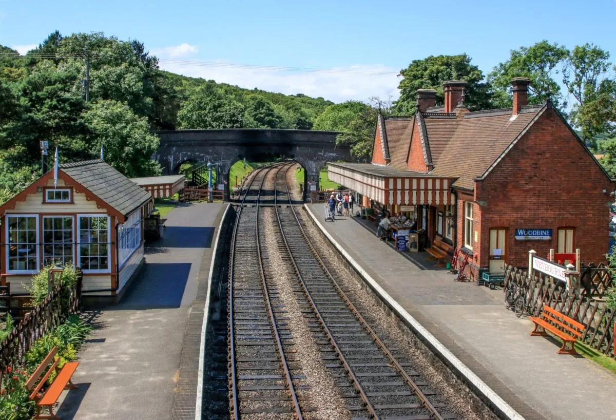 Heritage railway station with platforms, brick buildings, and railway tracks, surrounded by woodland in summer.