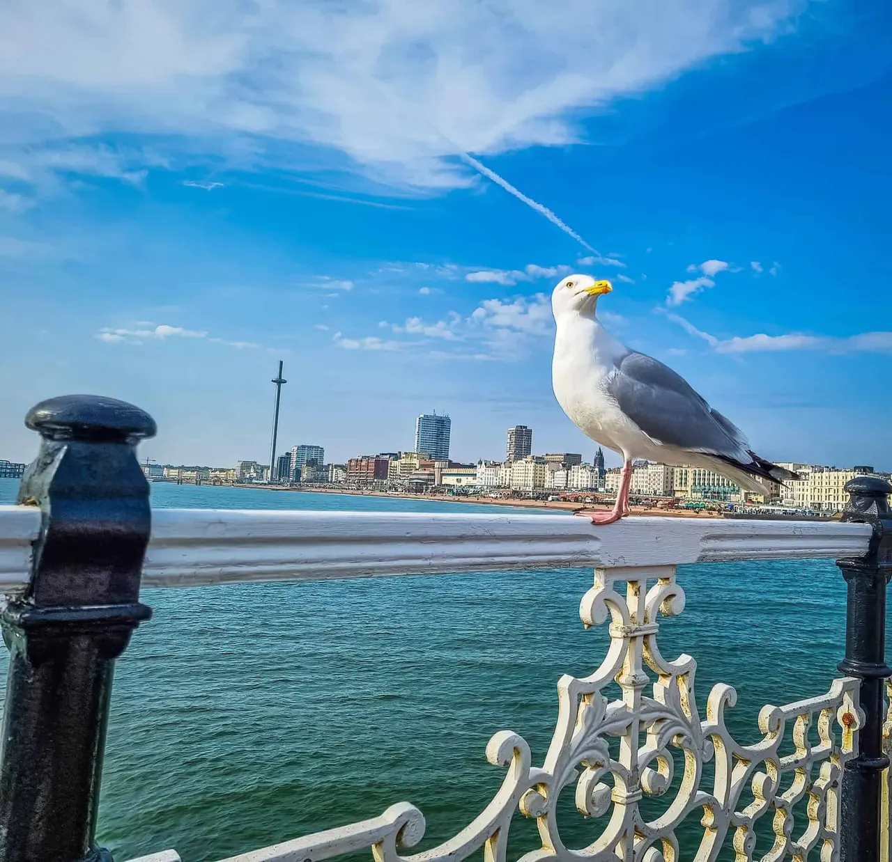 A seagull perched on ornate white railings overlooks Brighton beach and seafront buildings under blue sky.
