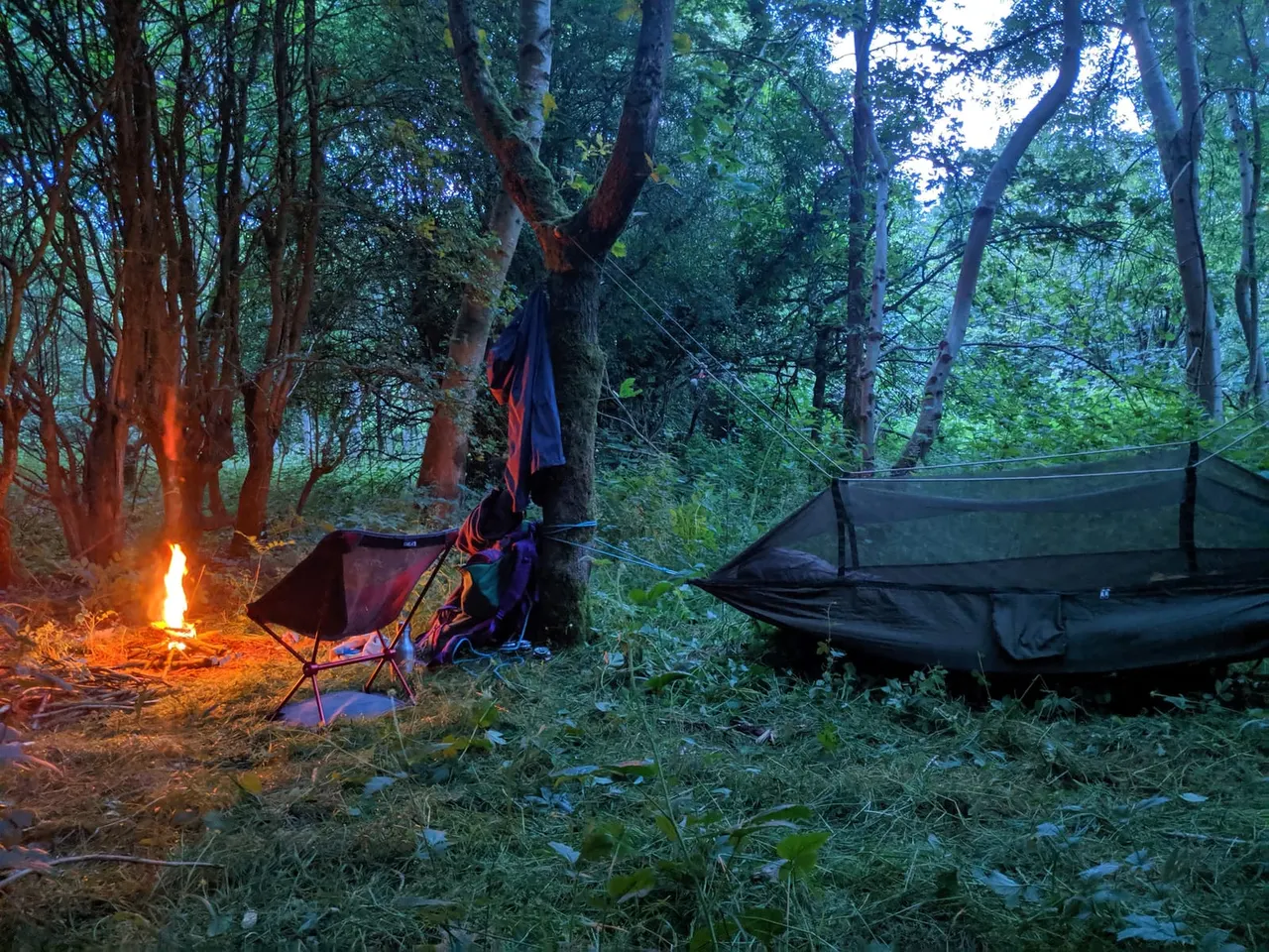 Woodland camping site at dusk with a campfire, camping chair, hammock strung between trees, and tent amongst dense forest vegetation.