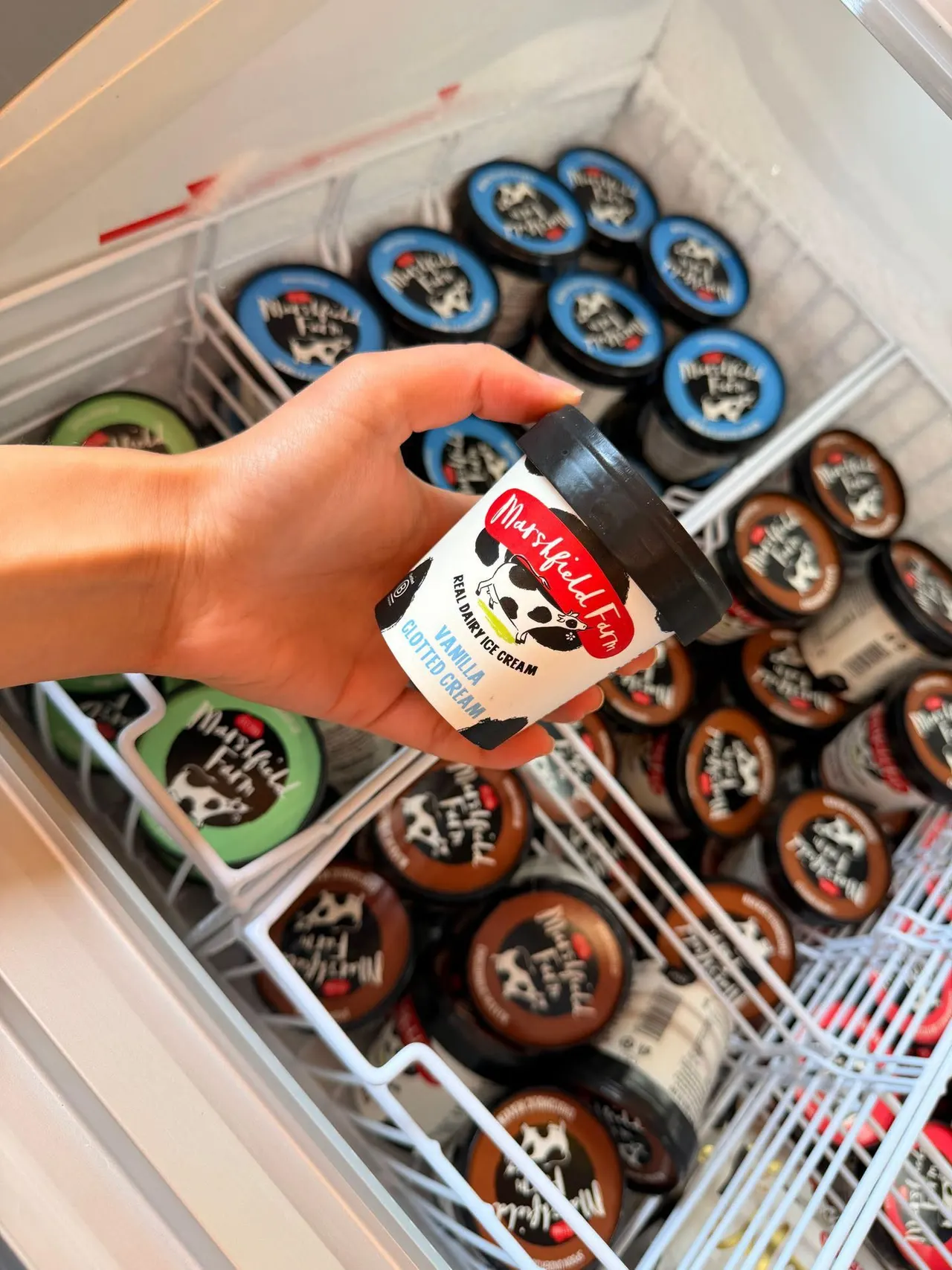 Hand holding an ice cream tub above a freezer display of various branded ice creams.