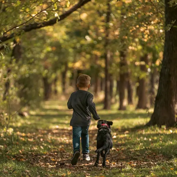 Child jogging along a tree-lined autumn path with a dog beside them.