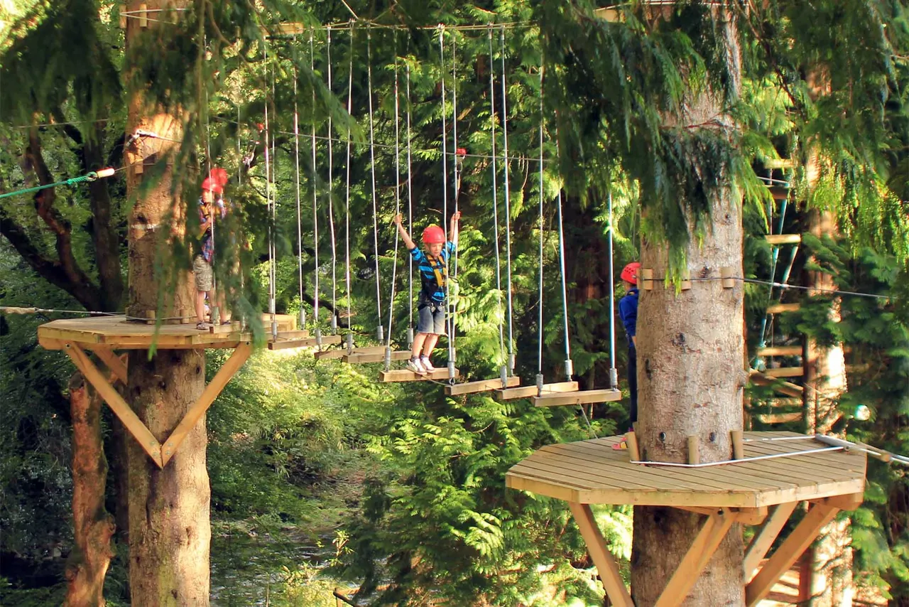 Children in safety helmets navigate a woodland canopy course with rope bridges and wooden platforms between trees.