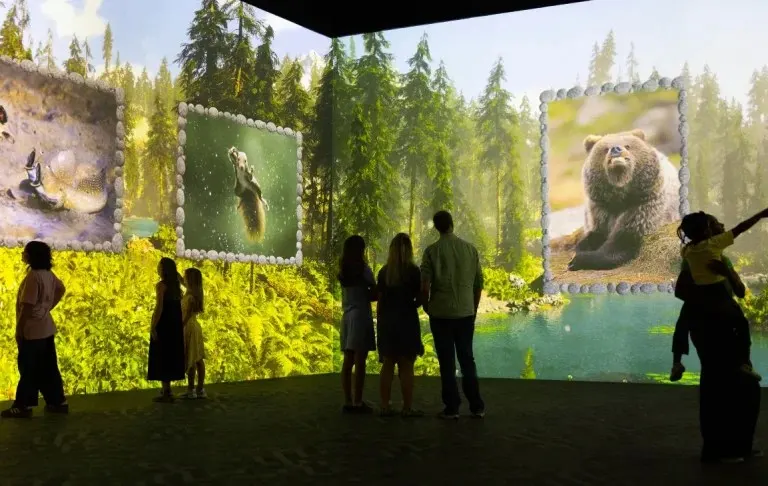 Visitors stand in an immersive exhibition space surrounded by large projected images of wildlife and forest landscapes.