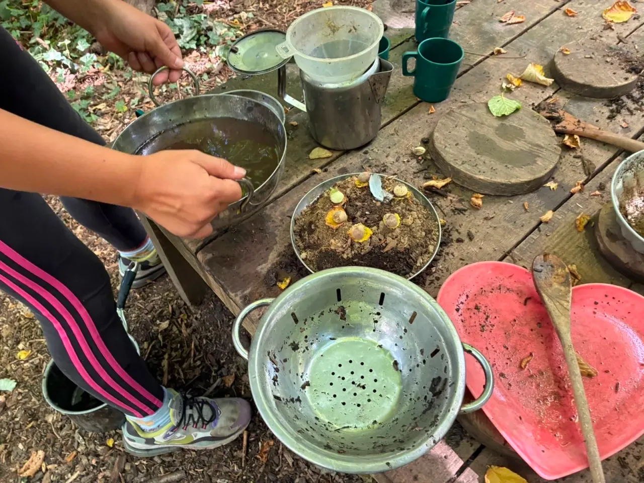 Person holding a metal bowl during outdoor foraging or nature activity with various containers and soil-filled trays on wooden platform.