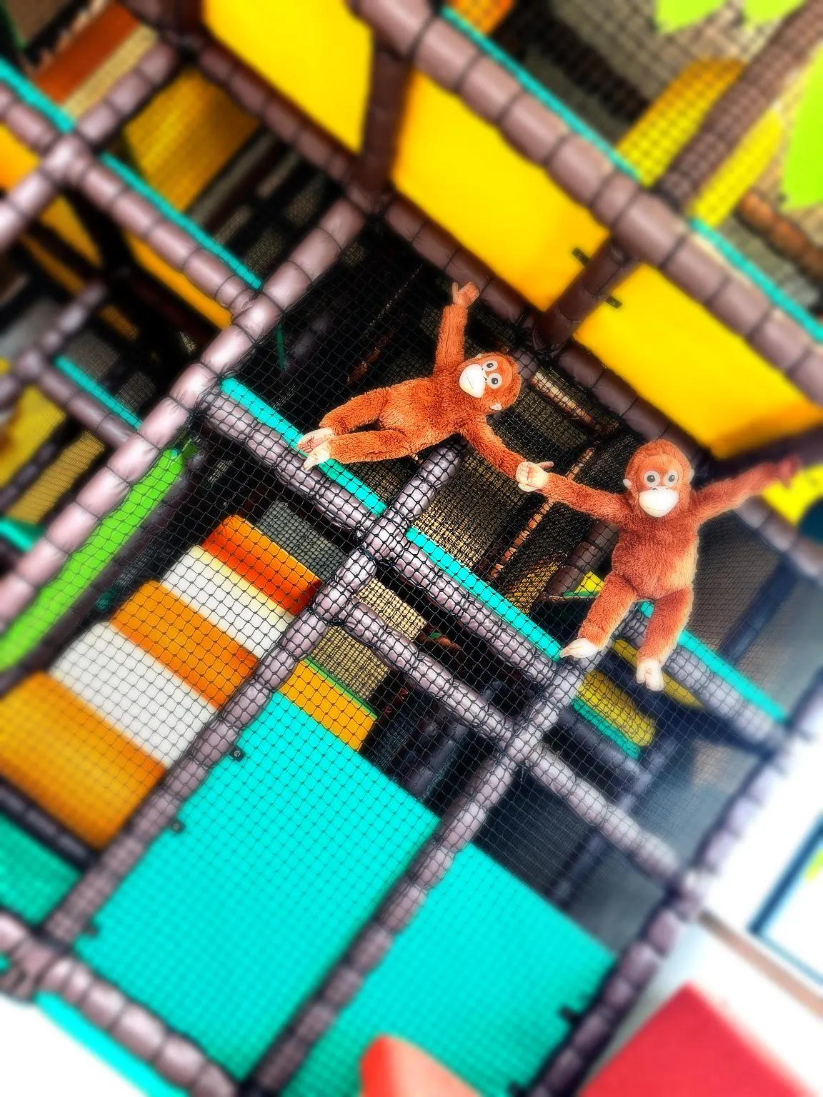 Two small primates on colourful climbing structure with mesh netting at indoor play centre.