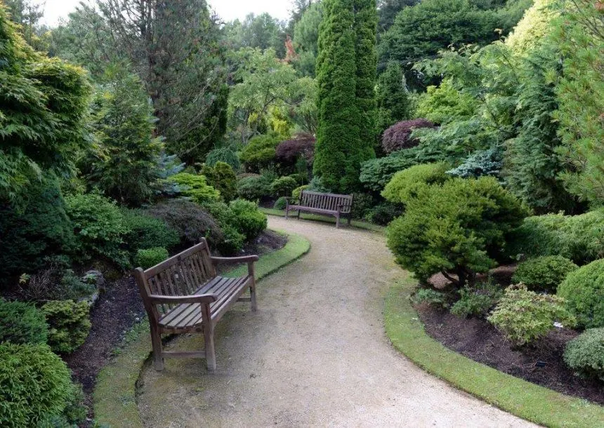 Winding gravel path through a formal garden with wooden benches and mature trees and shrubs on either side.