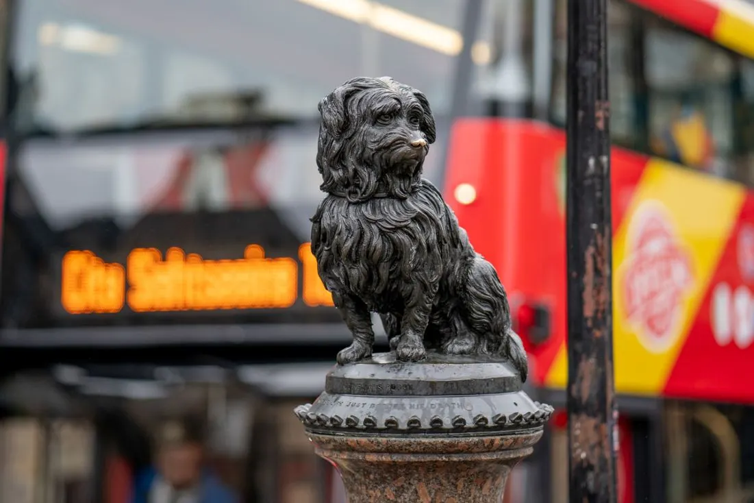 Black dog statue on a decorative plinth with Edinburgh bus tour vehicles blurred in the background.