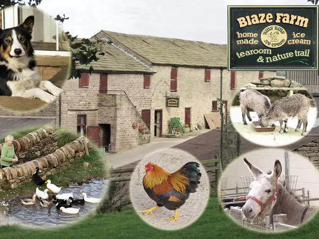 Blaze Farm & The Potty Sheep