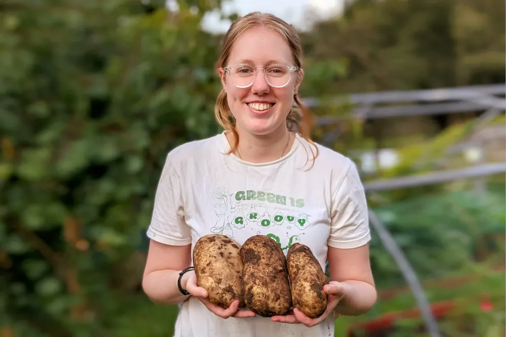 Woman holding three freshly dug potatoes in a community farm garden setting.