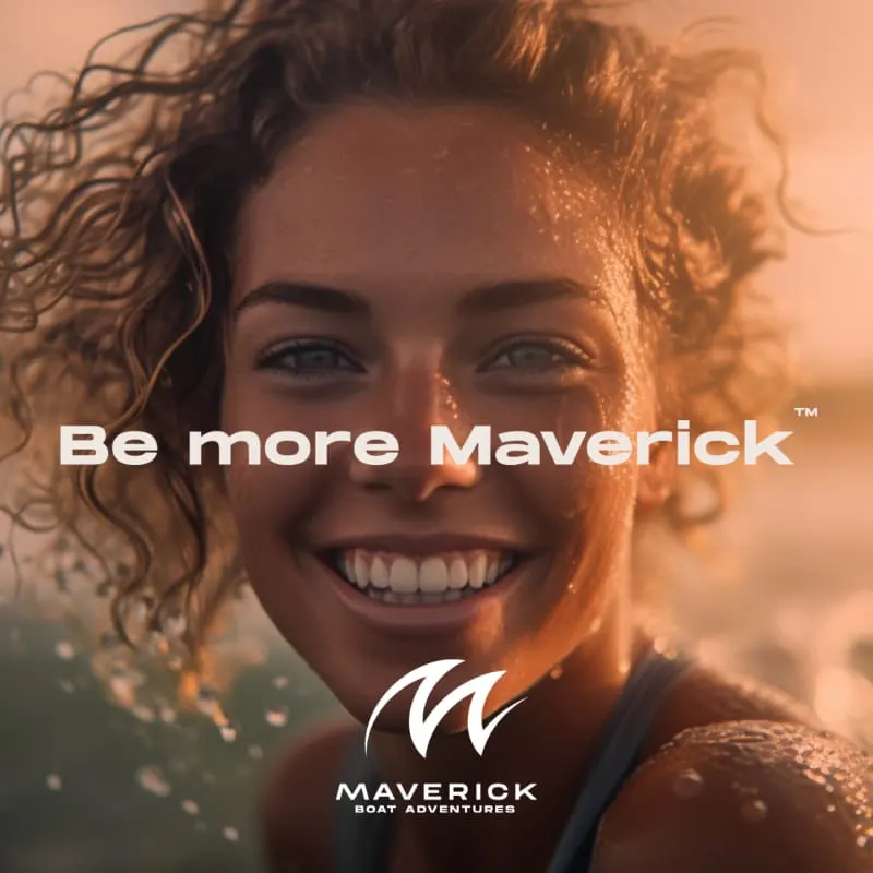 Maverick Boat Adventures Boat Trips Sussex