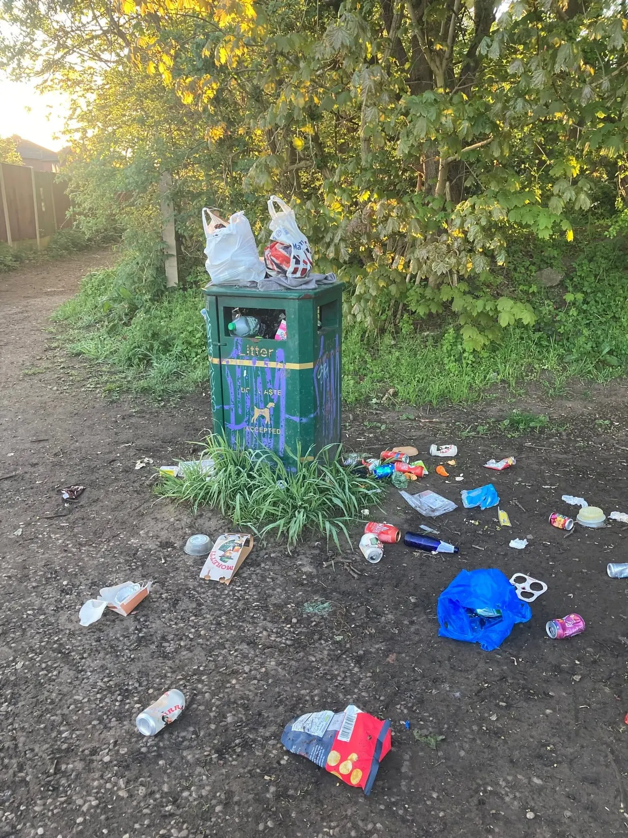 Overflowing green litter bin surrounded by scattered rubbish on a tree-lined path.