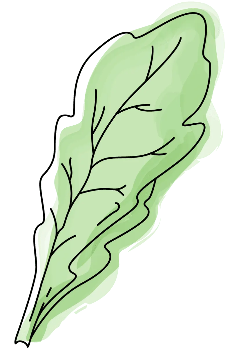 Blue Hills Farm Shop
